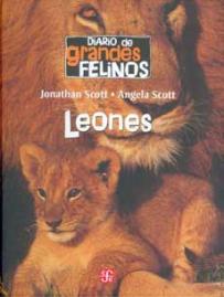 Diario de grandes felinos: Leones SD-02 9681680324
