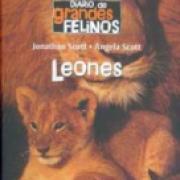 Diario de grandes felinos: Leones SD-02 9681680324